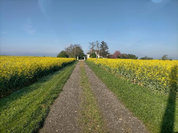 Studio " Tournesol " Au Coeur Du Berry Les Bordes Екстер'єр фото